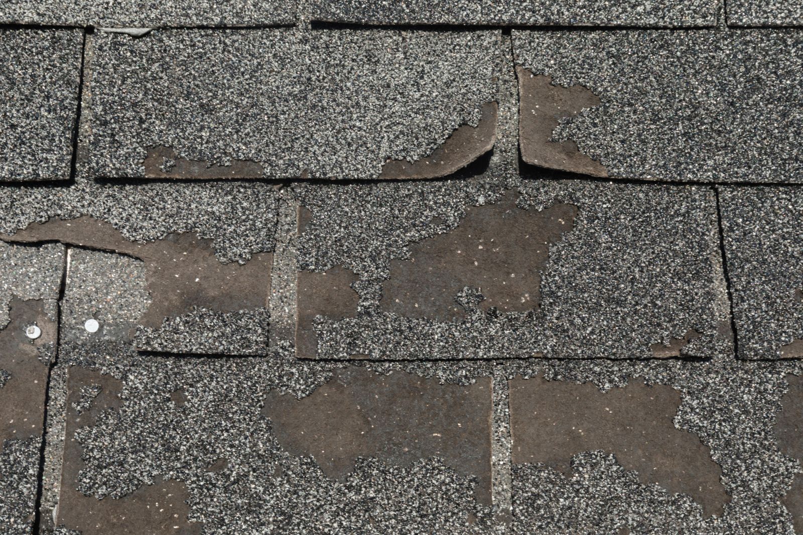 Bull Construction & Roofing LLC Images